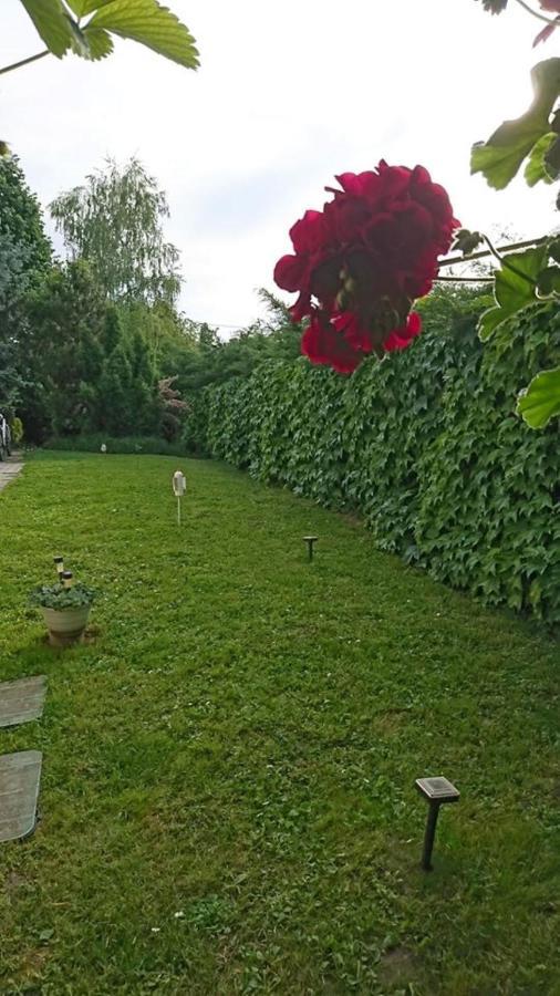 Liliana Vendeghaz Lejlighed Balatonfůzfő Eksteriør billede