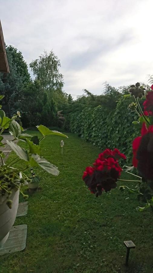 Liliana Vendeghaz Lejlighed Balatonfůzfő Eksteriør billede
